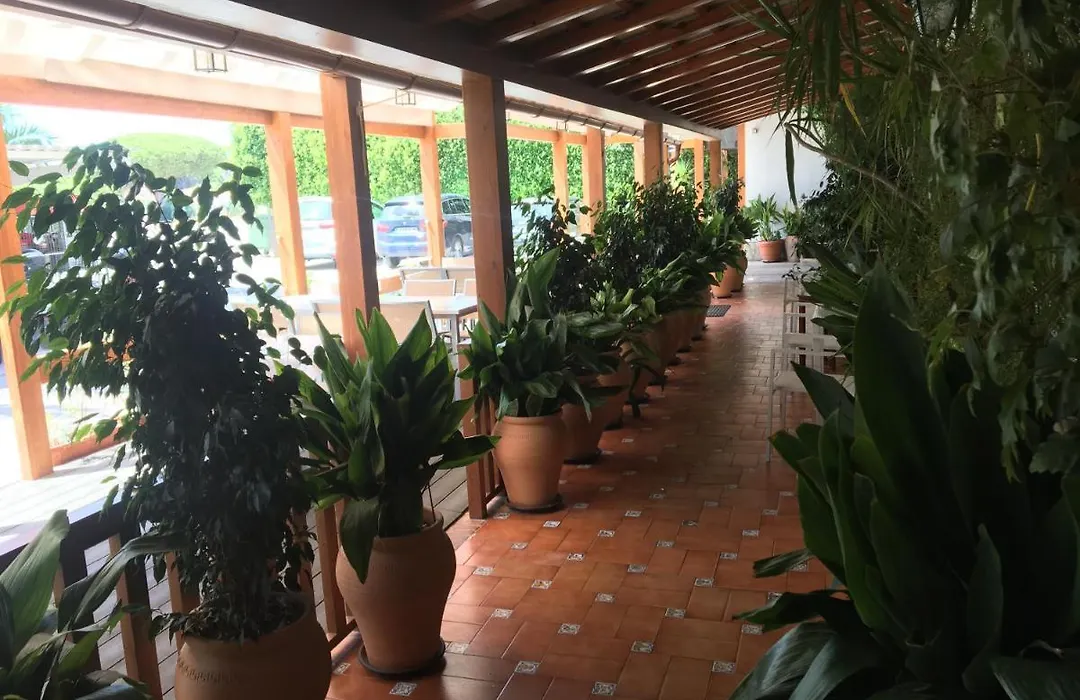 Hotel Antonio Conil-1